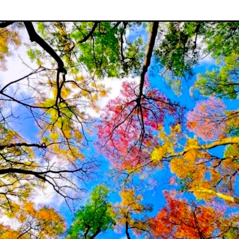 Meet your Posher, Eva